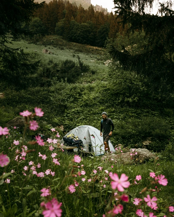 a man standing next to a tent in a field of flowers, by Anna Haifisch, unsplash contest winner, placed in a lush forest, field of pink flowers, wearing adventuring gear, photo of zurich