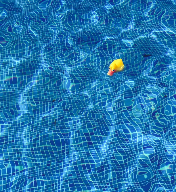 a yellow rubber duck floating in a pool, inspired by David Hockney, precisionism, crystal clear blue water, floating koi fish, vacation photo, maze