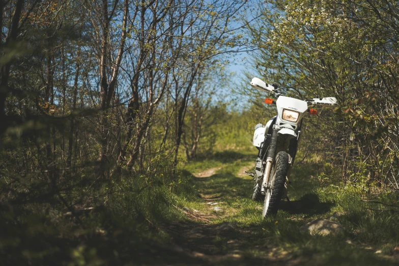 a dirt bike parked in the middle of a forest, unsplash, photorealism, warm spring, white, 90s photo