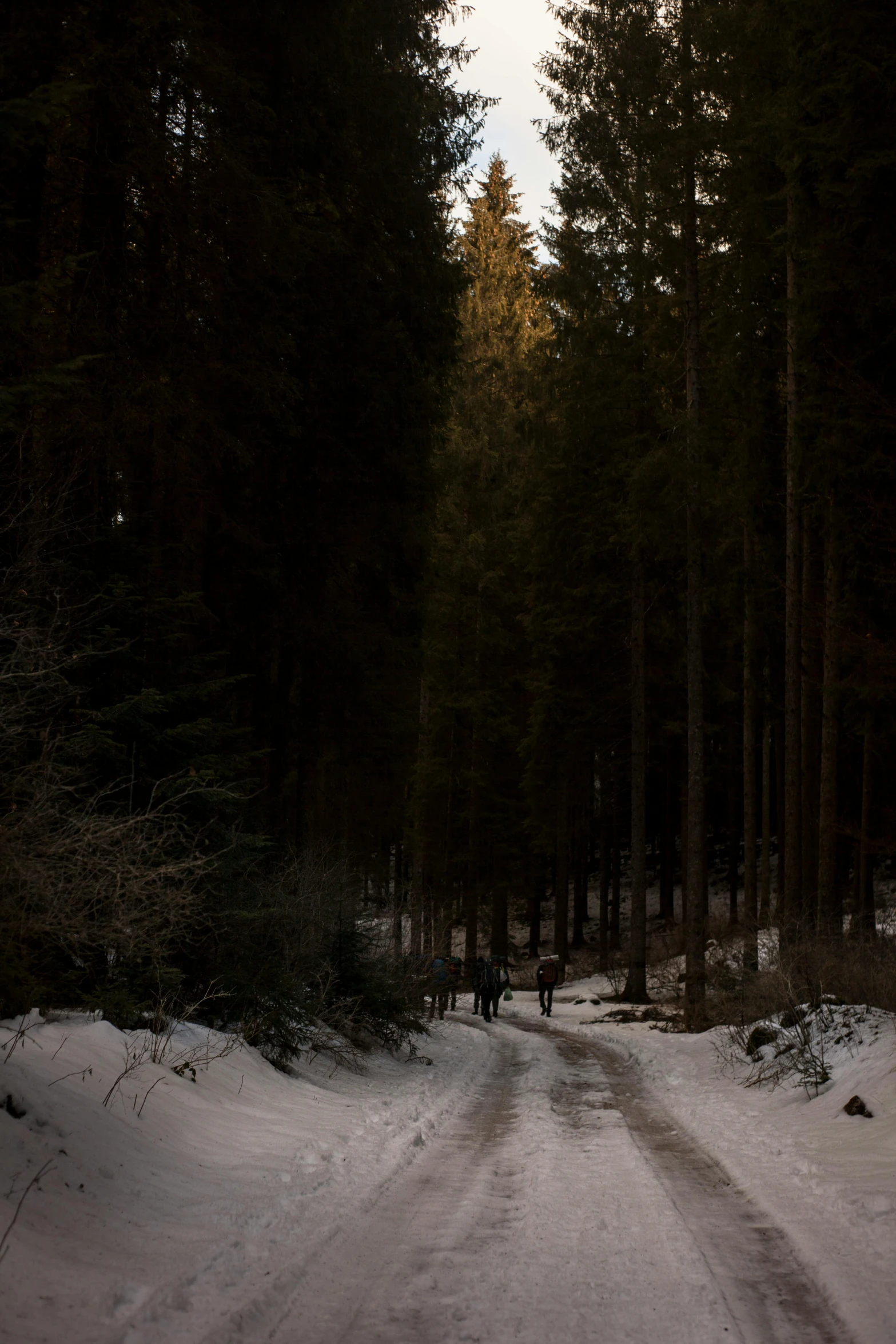 a snow covered road in the middle of a forest, dark figures walking, black forest, evening lighting, shot with sony alpha