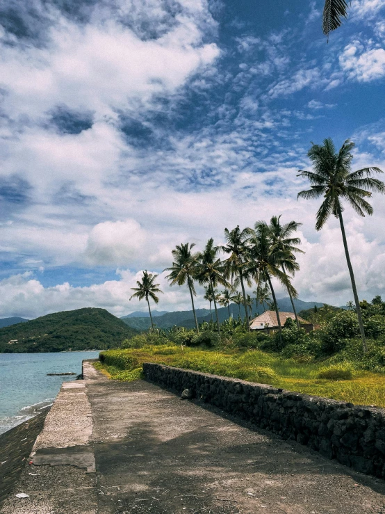 a walkway next to a body of water with palm trees in the background, black sand, fishing village, posing, listing image