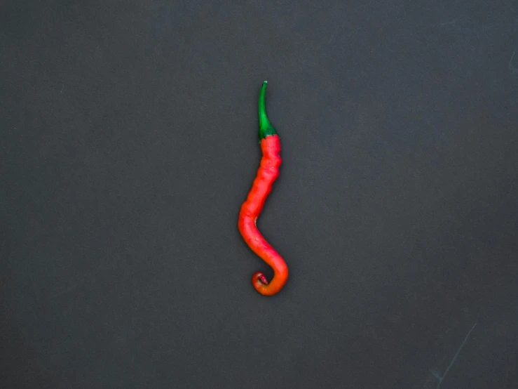 a red chili sitting on top of a black surface, inspired by Jan Rustem, unsplash, colorful pigtail, plasticine, lizard tail, 🥥 🍕 hybrid