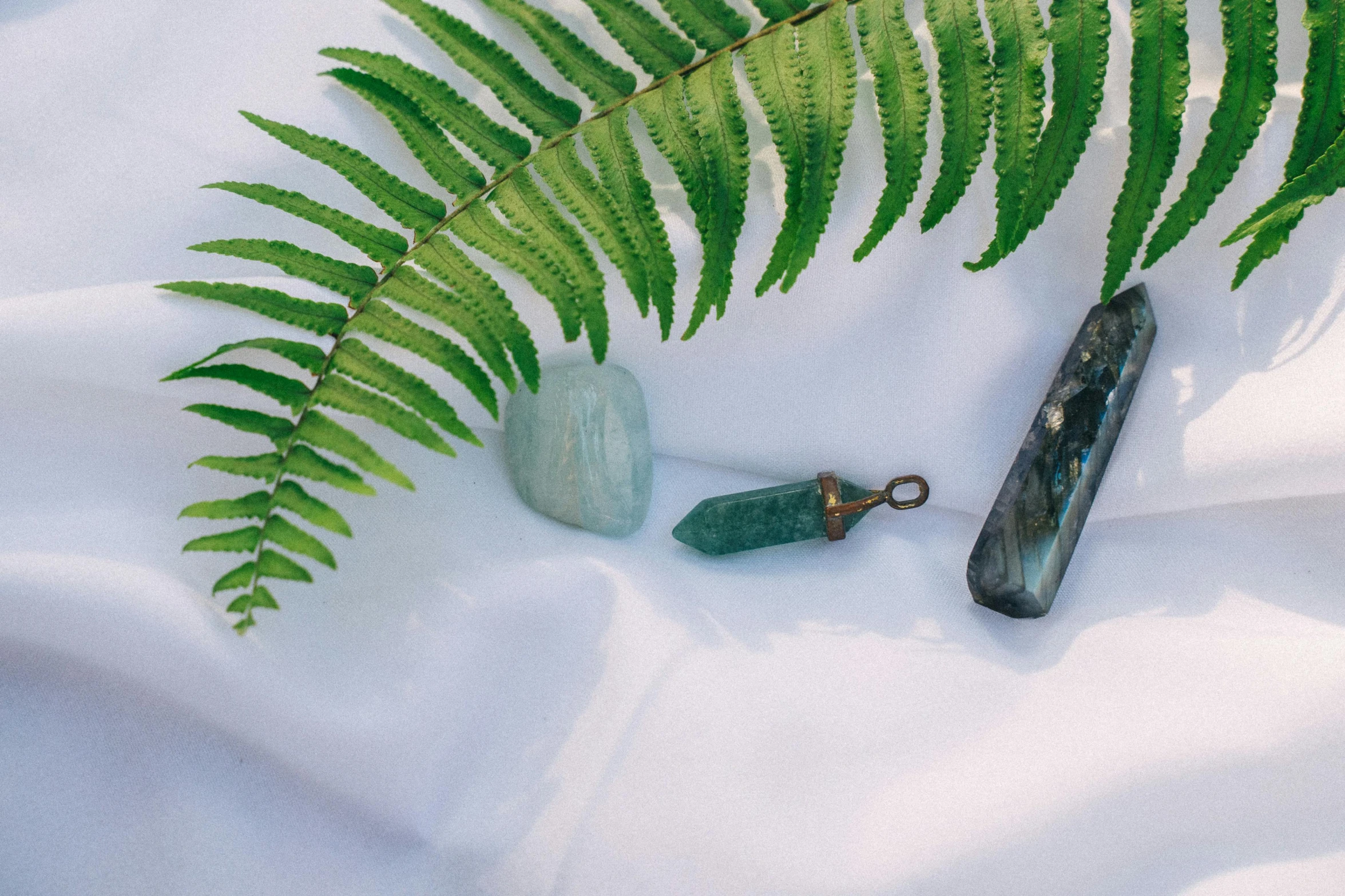 a fern leaf laying on top of a white sheet, a still life, trending on pexels, hurufiyya, opal statues adorned in jewels, quartz crystal, cyan and green, sunstone