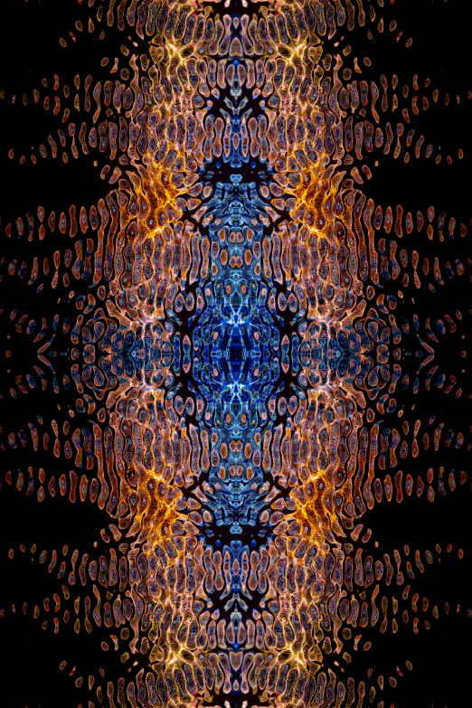 a blue and orange pattern on a black background, an album cover, reddit, generative art, drooling ferrofluid. dslr, fire stainglass, digital art - n 5, infinity hieroglyph waves