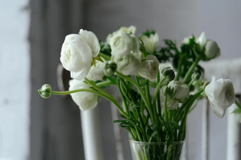 a vase filled with white flowers sitting on a table, up-close, bespoke, himalayan poppy flowers, zoomed in