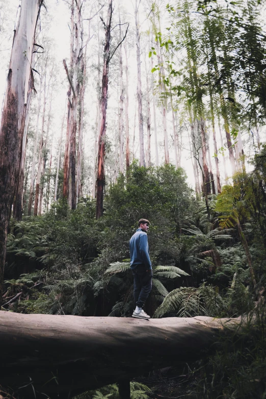 a man standing on a fallen tree in a forest, inspired by George Pirie, unsplash contest winner, eucalyptus trees, on a planet of lush foliage, melbourne, distant full body view