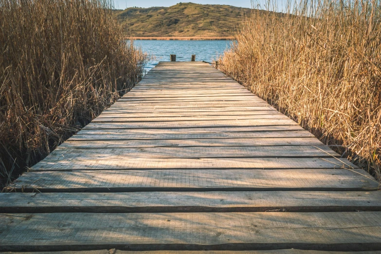 a wooden walkway next to a body of water, unsplash, land art, 2 5 6 x 2 5 6 pixels, cardboard, brown, arrendajo in avila pinewood