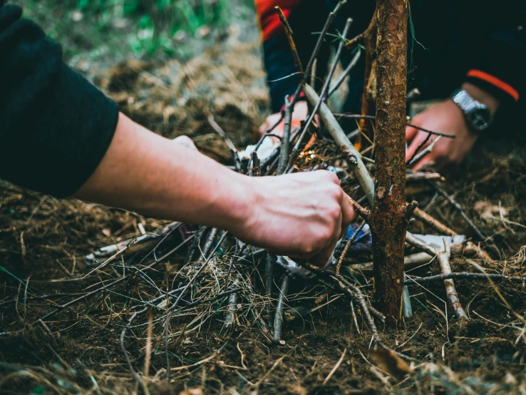 two people working on a campfire in the woods, a photo, vines and thorns, teaser, tools, profile image