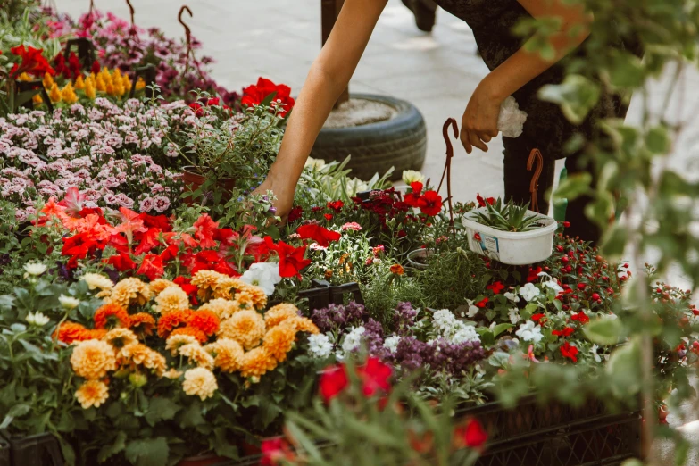 a woman standing in front of a bunch of flowers, by Julia Pishtar, trending on unsplash, farmer's market setting, picking up a flower, planters, surrounding the city