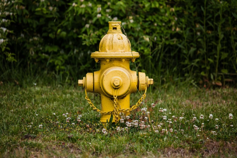 a yellow fire hydrant sitting in the middle of a field, inspired by Elsa Bleda, pexels contest winner, renaissance, square, head down, pipes, high quality picture