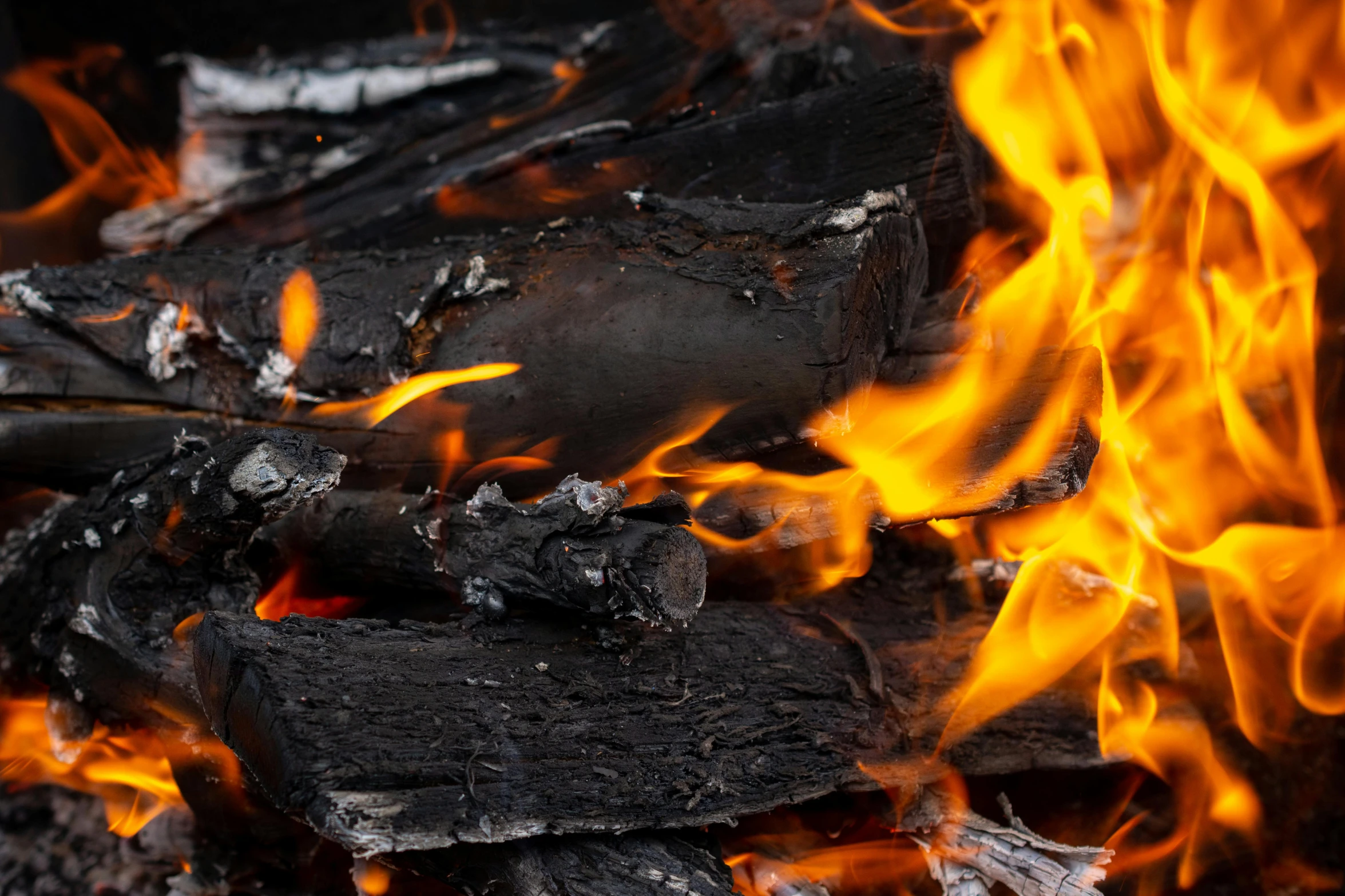 a pile of wood sitting on top of a fire, by Rodney Joseph Burn, shutterstock, black wings slightly burnt, avatar image, close up image, burning water