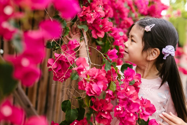 a little girl standing in front of a bunch of flowers, pexels contest winner, bougainvillea, avatar image, chinese heritage, 1 2 9 7