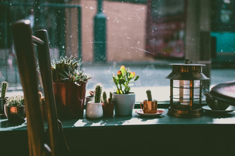 a table topped with potted plants next to a window, a still life, trending on unsplash, background image, warmly lit, lo-fi, cacti