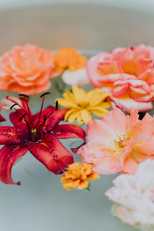 a bunch of flowers floating in a bowl of water, by Kristin Nelson, unsplash, pink orange flowers, red flowers of different types, lilies, bright soft colors