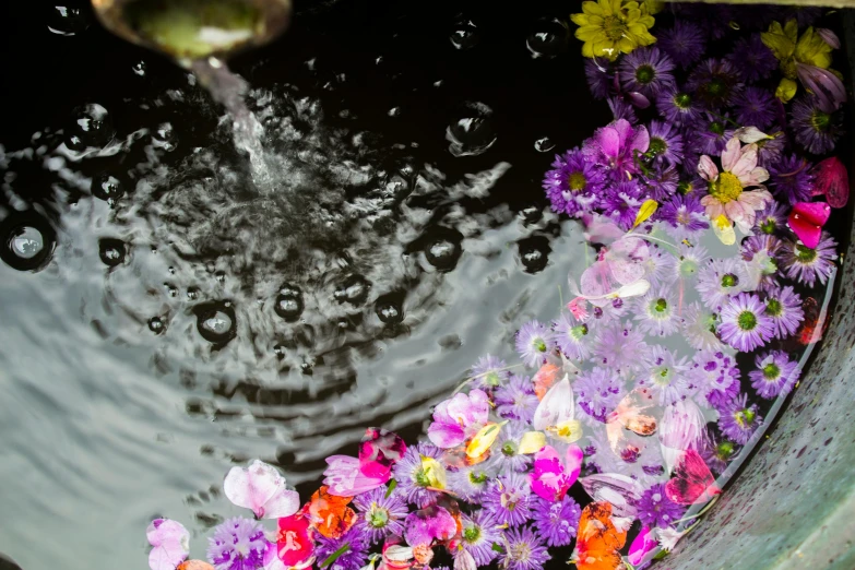 a close up of a bowl of water with flowers in it, by Cherryl Fountain, trending on unsplash, process art, seen from below, gardens and fountains, high angle close up shot, water particle in front