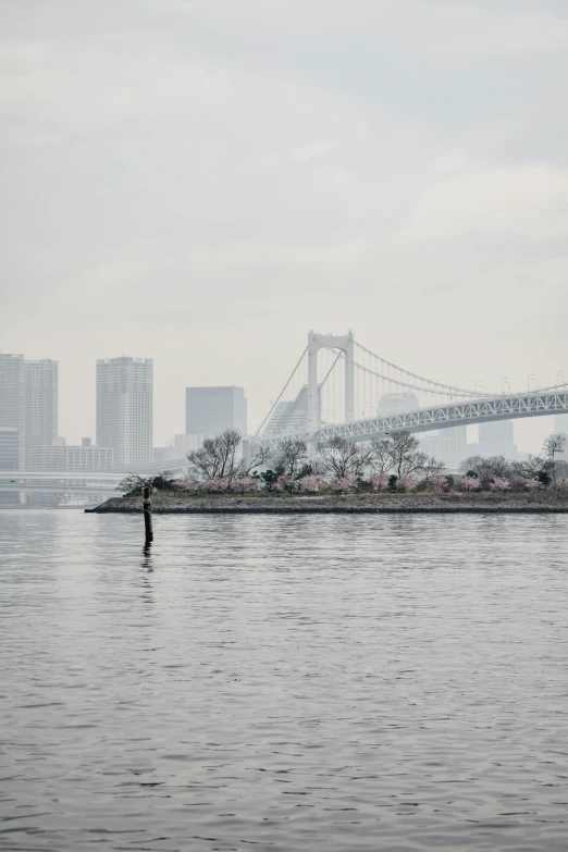 a large body of water with a bridge in the background, inspired by Kōshirō Onchi, unsplash contest winner, sōsaku hanga, new - york skyline in winter, rem koolhaas, overgrown city, an island