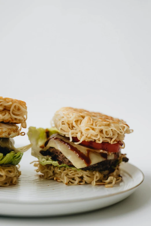 a couple of sandwiches sitting on top of a white plate, sōsaku hanga, made of spaghetti, hamburgers, on clear background, bo xun ling