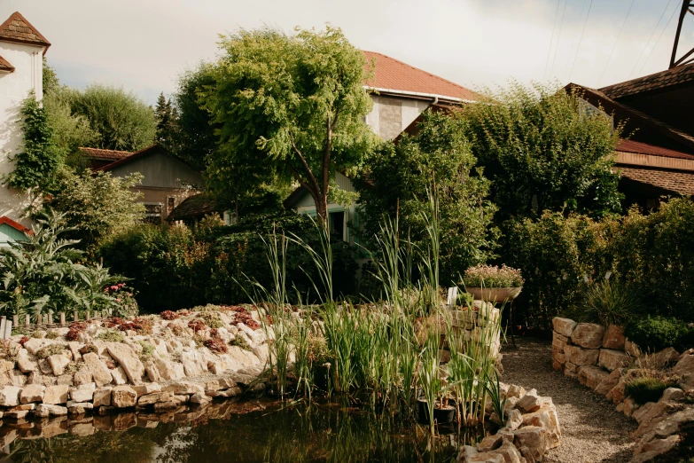 a pond in front of a house with a clock tower in the background, by Carey Morris, unsplash, les nabis, lush vegetation in the center, taras susak, 2000s photo, suburban garden