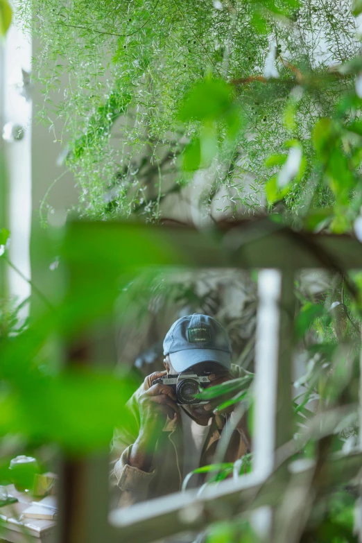 a person taking a picture of themselves in a mirror, a picture, inspired by Elsa Bleda, visual art, amongst foliage, as seen from the canopy, hat covering eyes, rainforest