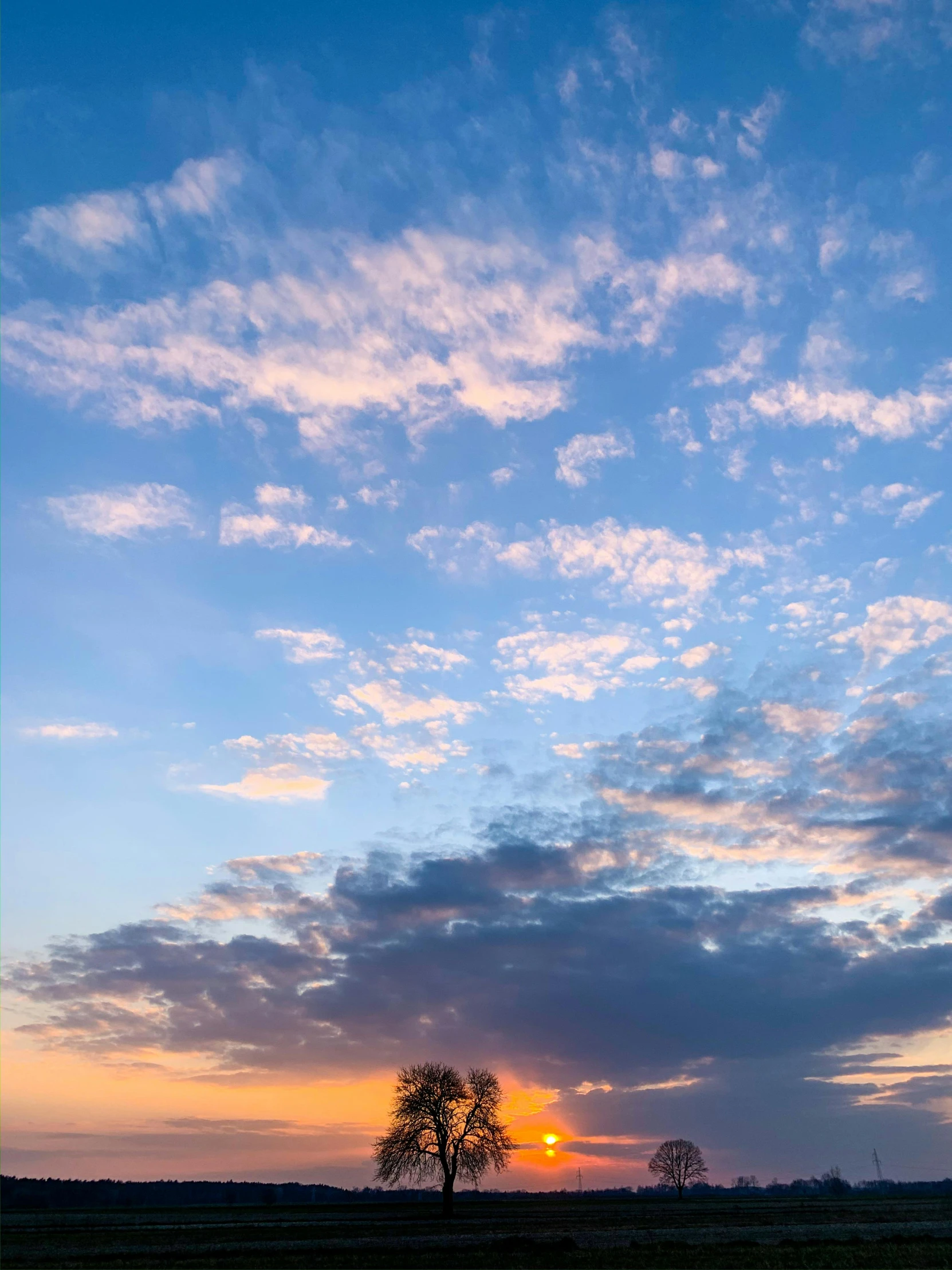 a lone tree in a field at sunset, by Hubert van Ravesteyn, unsplash contest winner, romanticism, panorama view of the sky, photo on iphone, today\'s featured photograph 4k, light blue sky