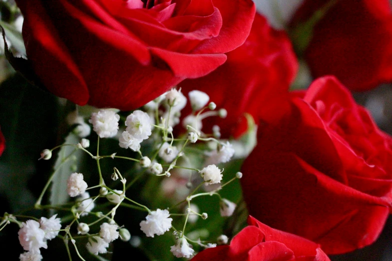 a close up of a bouquet of red roses, subtle detailing, red and white flowers, shot with premium dslr camera