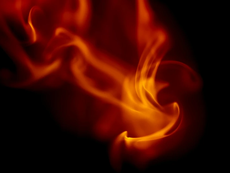 a close up of a fire on a black background, digital art, red background photorealistic, instagram photo, wallpaperflare, tiny firespitter