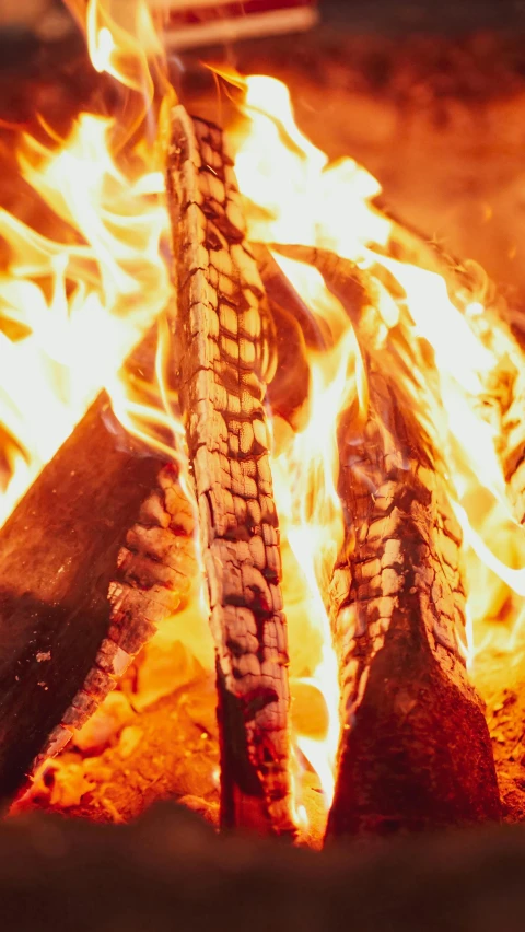 a close up of a fire in a fireplace, an album cover, pexels contest winner, ribs, ayahuasca ceremony, crisp detail, flaring gills and baleen