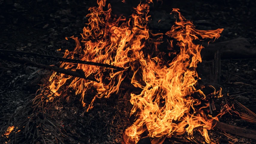 a fire burning in the middle of a forest, pexels contest winner, renaissance, flaming torches and pitchforks, avatar image, hot food, a close up shot