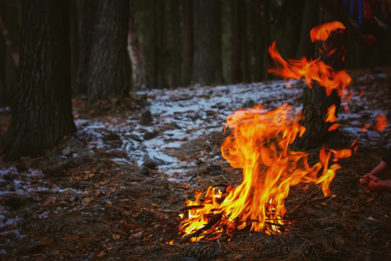 a person standing next to a fire in the woods, pexels contest winner, fan favorite, melting, flattened, avatar image