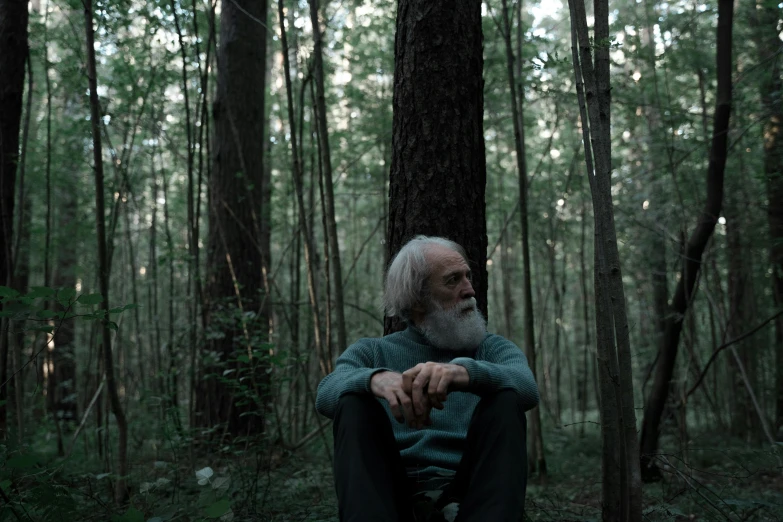 a man sitting in the middle of a forest, gray beard, cinestill, ((forest)), oscar winning