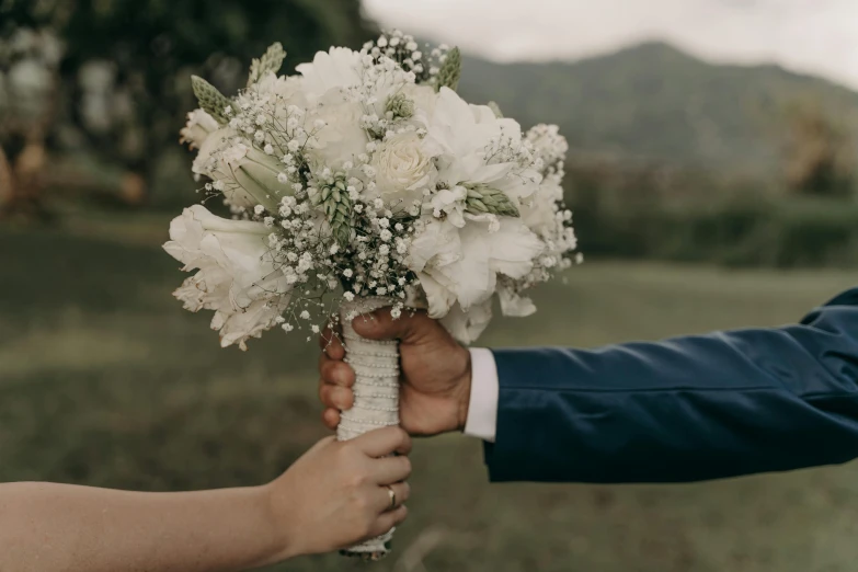 a close up of a person holding a bouquet of flowers, take my hand, two men hugging, pale greens and whites, hills in the background