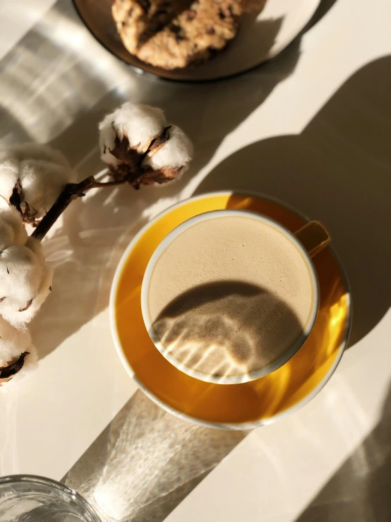 a cup of coffee sitting on top of a table, shades of gold display naturally, lined in cotton, profile image, sun lighting