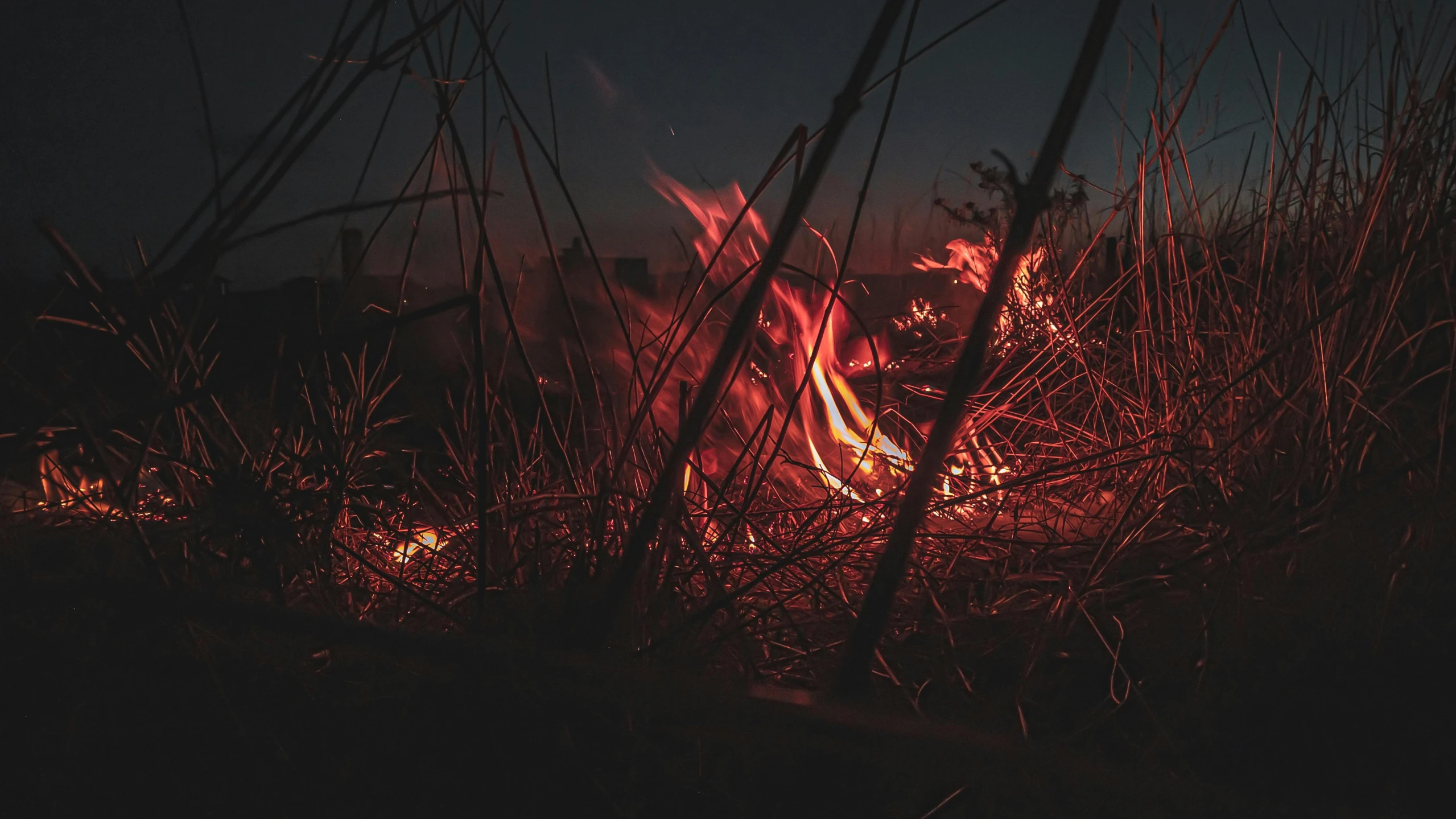 a fire in the middle of a field at night, pexels contest winner, patches of red grass, profile image, burning overgrowth, concert