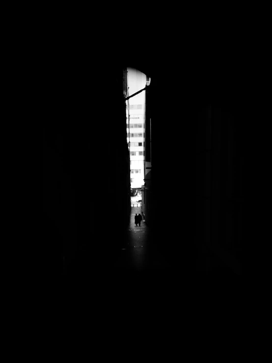 a black and white photo of a dog in the dark, a black and white photo, by Tobias Stimmer, conceptual art, narrow passage, two people, cityscape, view from inside