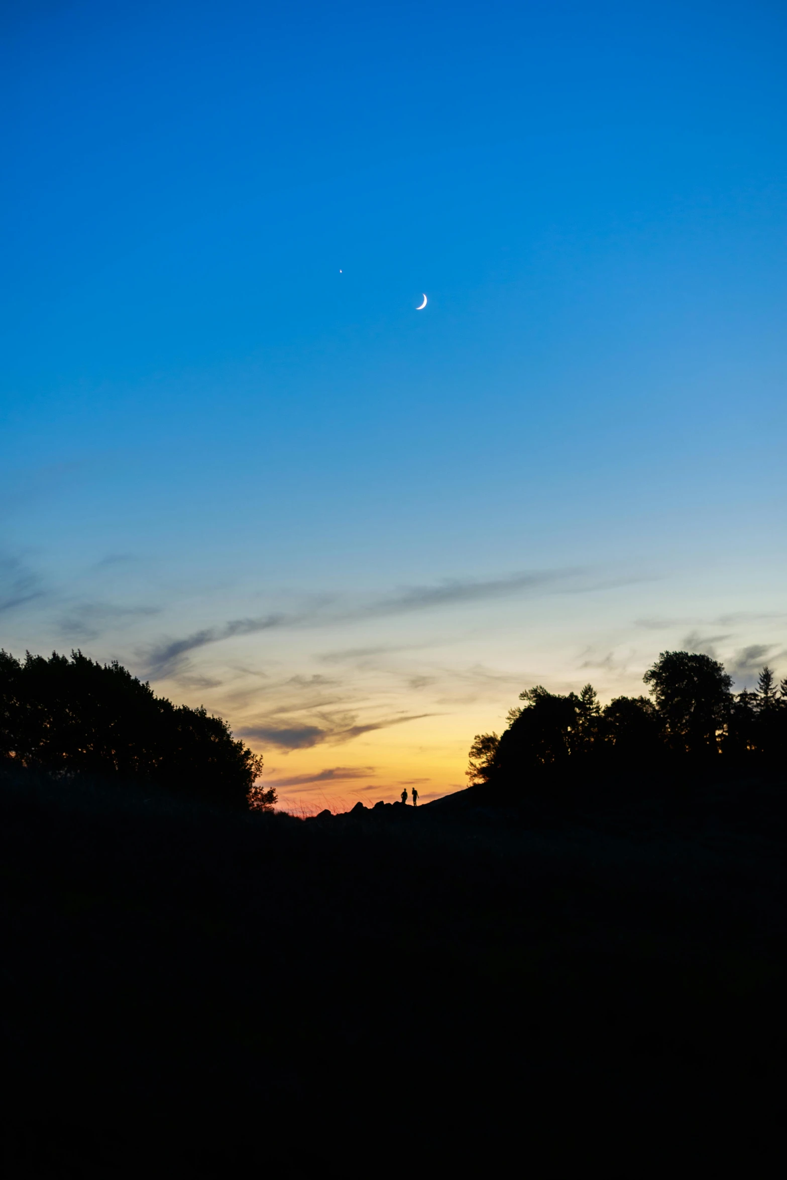 the moon is setting in the sky over a field, by Jan Tengnagel, silhouette :7, break of dawn on venus, on a hill, high quality image