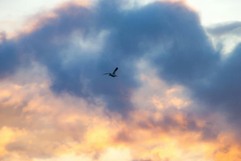 a bird flying through a cloudy sky at sunset, unsplash, minimalism, heron, rectangle, 2022 photograph, multicoloured