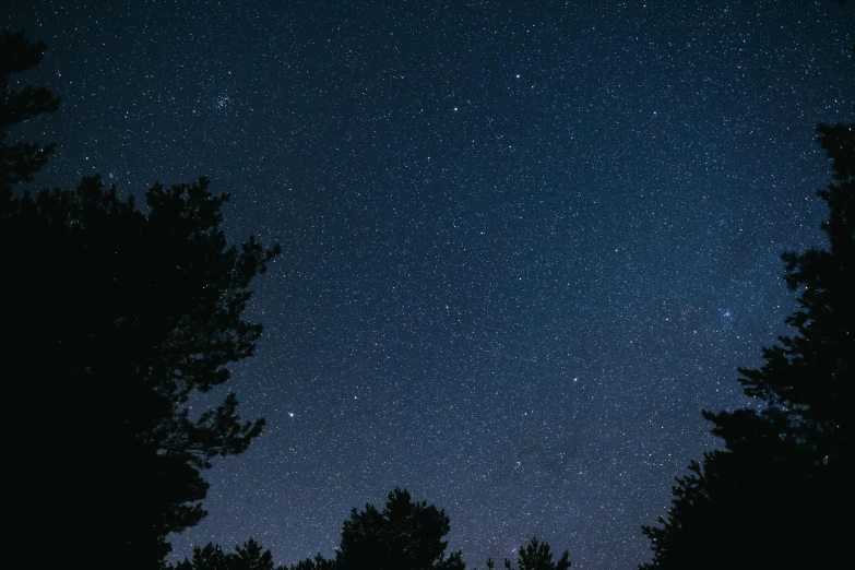 a night sky filled with lots of stars, trending on unsplash, sparse pine trees, instagram post, full frame image, extra high resolution