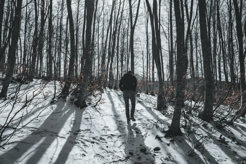 a person walking through a snow covered forest, a black and white photo, in the shadows, cold as ice! 🧊, 5k, facing away