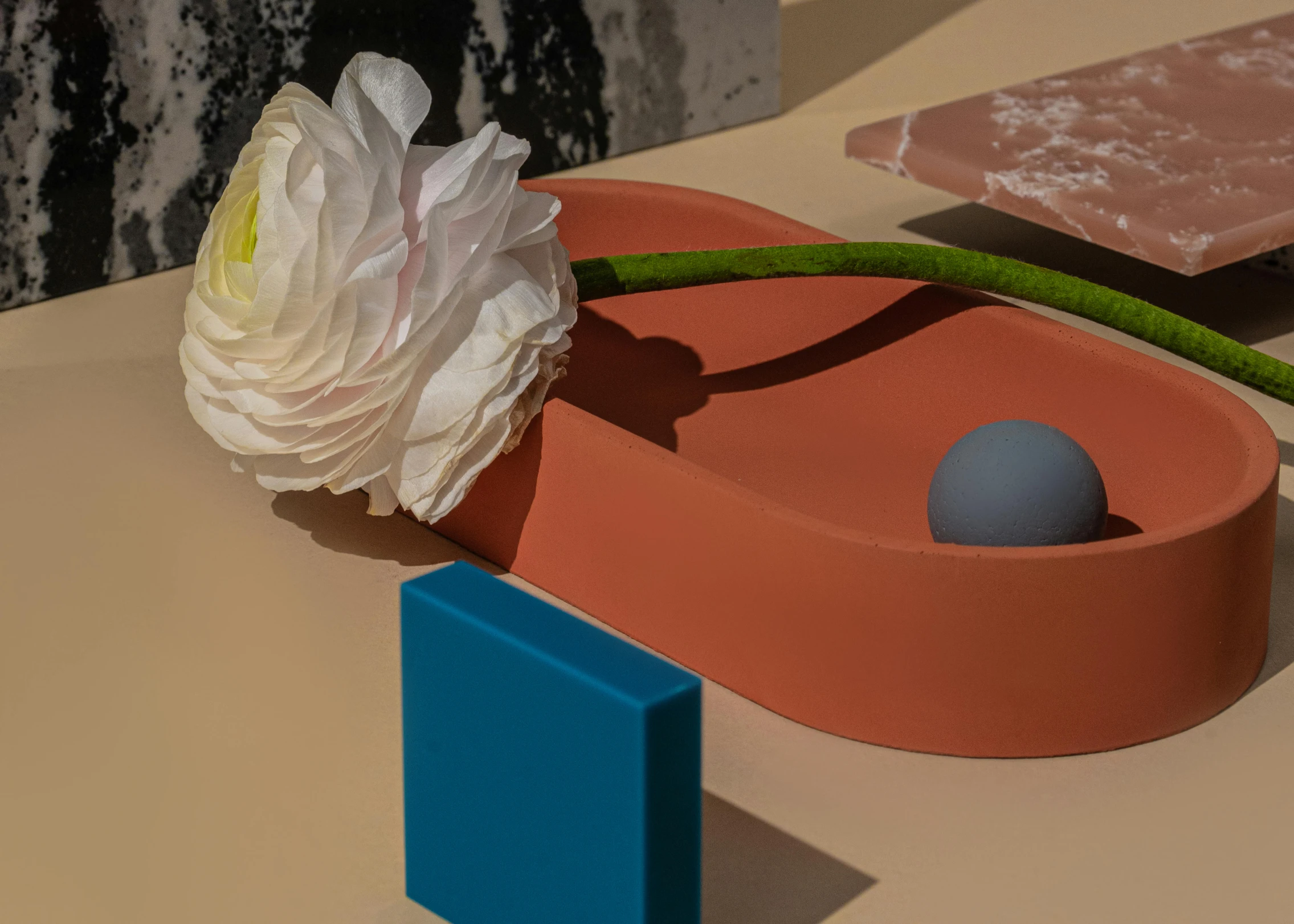 a flower that is sitting on a table, an abstract sculpture, inspired by Isamu Noguchi, new objectivity, complementary colour palette, rectangle, vessels, curved