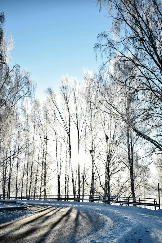 a snow covered road with trees in the background, inspired by Bruno Liljefors, pexels contest winner, sunny day in a park, birch, helsinki, soft light - n 9