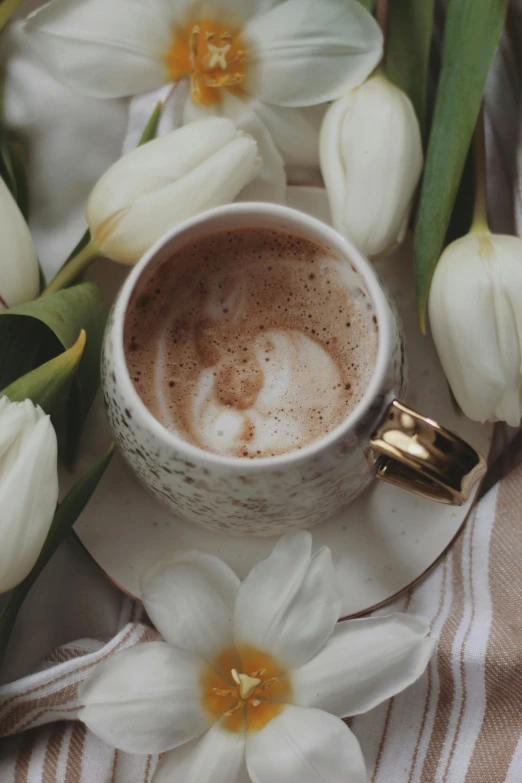 a cup of coffee and some white flowers, pexels contest winner, roses and tulips, muted brown, hot cocoa drink, promo image