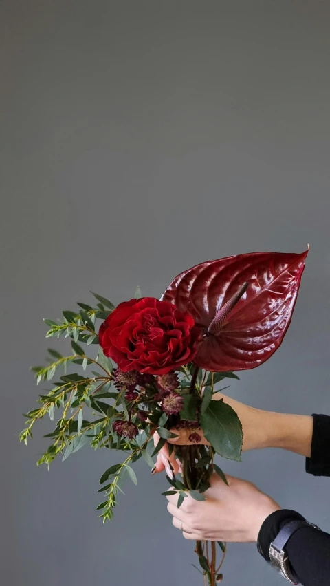 a woman holding a bouquet of red roses, a still life, unsplash, big leaves foliage and stems, angled shot, maroon metallic accents, draped with red hybiscus