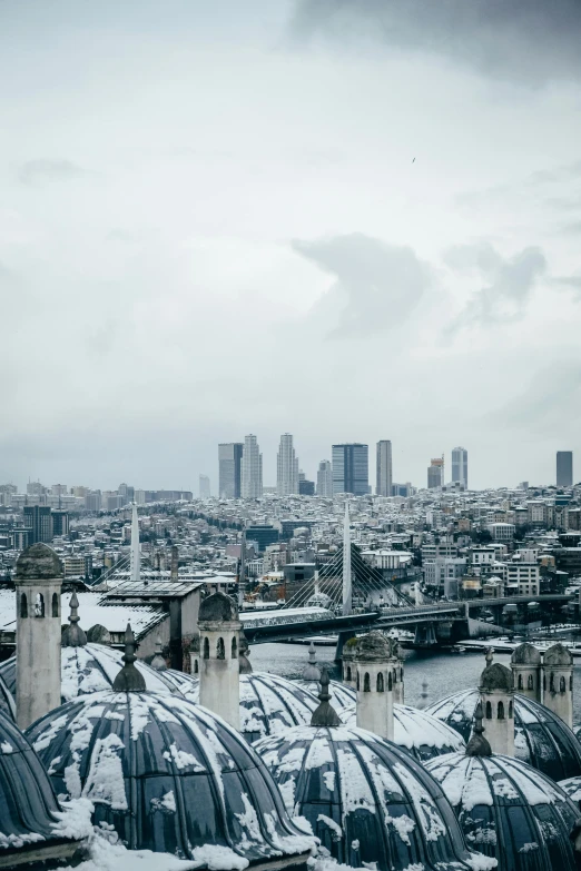 the view of paris from the top of the eiffel tower, a matte painting, pexels contest winner, visual art, istanbul, snowy, grey sky, mosque