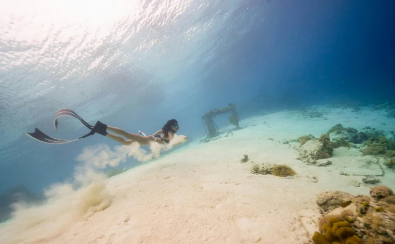 a couple of people that are swimming in the water, at the bottom of the ocean