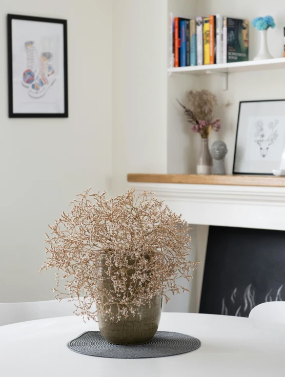 a white table with a potted plant on top of it, by Ruth Simpson, seaweed and bubles, cosy fireplace, cyber copper spiral decorations, product display photograph