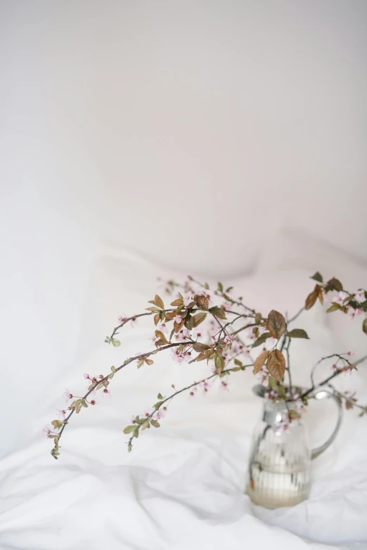 a vase filled with flowers sitting on top of a bed, trending on unsplash, romanticism, plum blossom, low quality photo, white room, overhanging branches