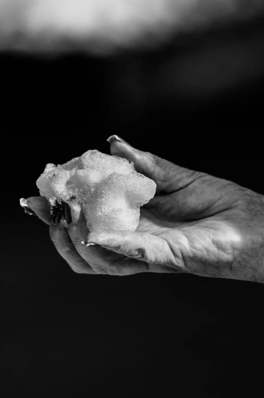 a person holding a piece of food in their hand, a black and white photo, by Nathalie Rattner, unsplash, conceptual art, puffballs, white foam, soap carving, cloud