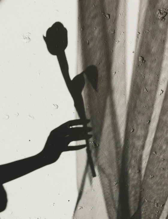 a black and white photo of a flower in a vase, a black and white photo, unsplash, art photography, shadowy figures, holding a rose, crying and reaching with her arm, helene frankenthaler