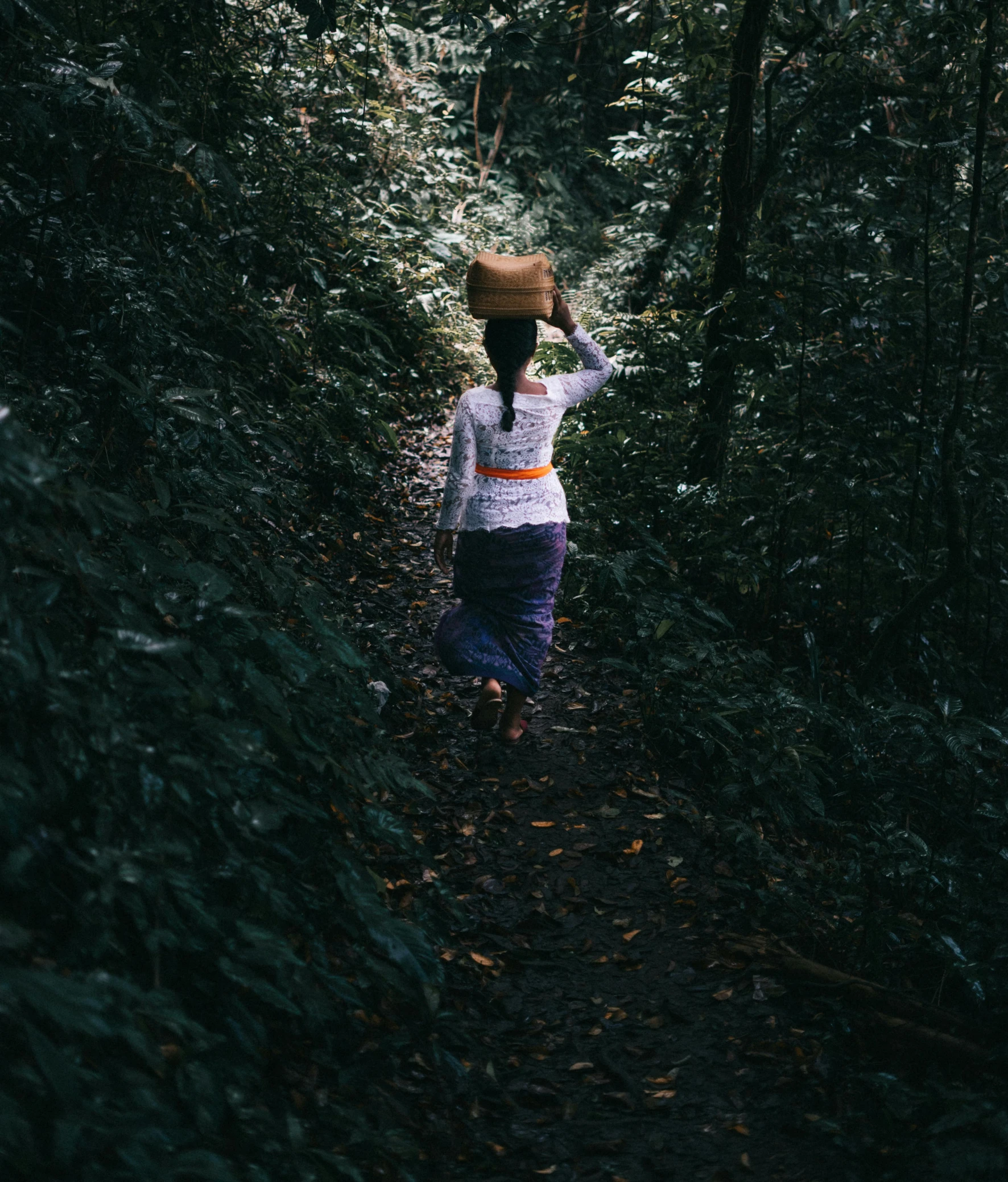 a person walking through a forest with a hat on their head, pexels contest winner, sumatraism, female ascending, low key, carrying a tray, lurking