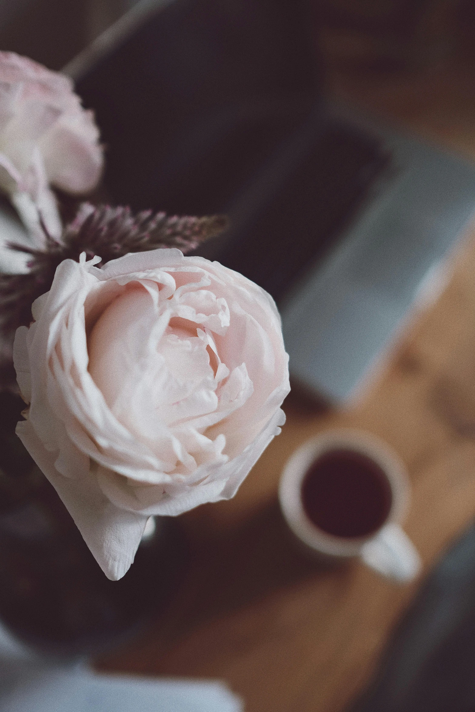 a vase filled with pink flowers next to a laptop, trending on unsplash, romanticism, cup of coffee, photo of a rose, dark and white, a still of an ethereal